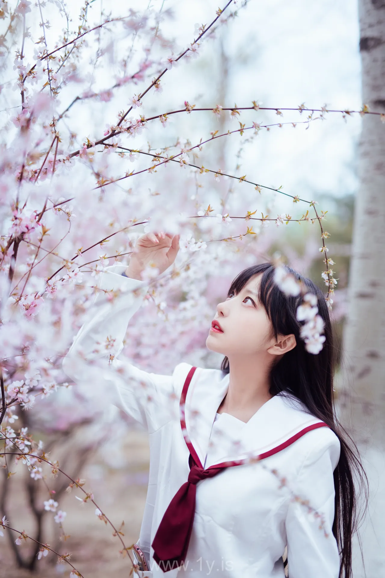 Coser@Shika小鹿鹿 NO.034 Appealing & Beautiful Chinese Hottie 樱花